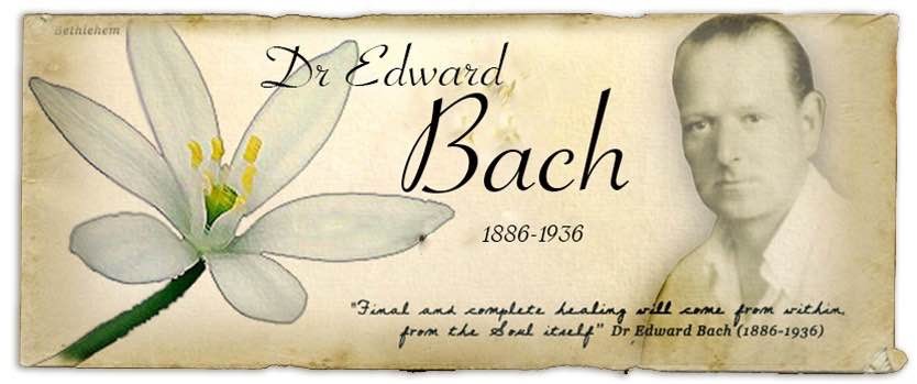 les fleurs de vos emotions virginie empeyta fleurs de Bach